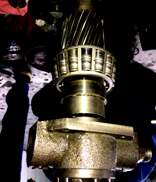 图片关键词 图片关键词